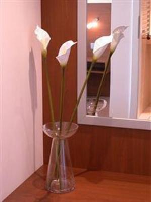 фото отеля Campus Lounge Hotel