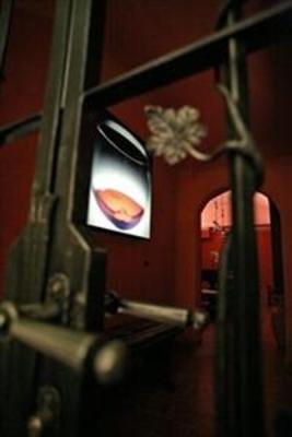 фото отеля Moser
