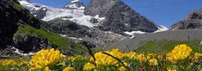 фото отеля Hotel Victoria-Lauberhorn