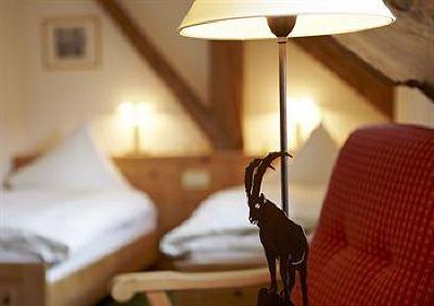 фото отеля Hotel Steinbock