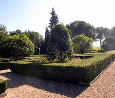 фото отеля Hotel La Collegiata