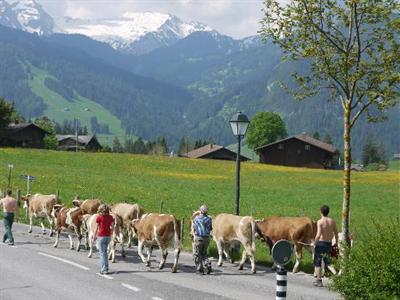 фото отеля Hostellerie Alpenrose Schönried