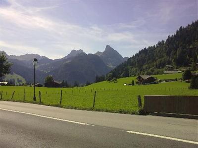 фото отеля Hostellerie Alpenrose Schönried