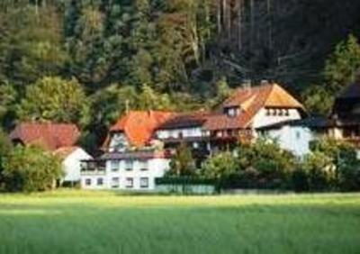фото отеля Wellness Pension am Rain
