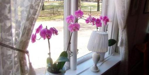 фото отеля STF Vandrarhem Alingsas Villa Plantaget