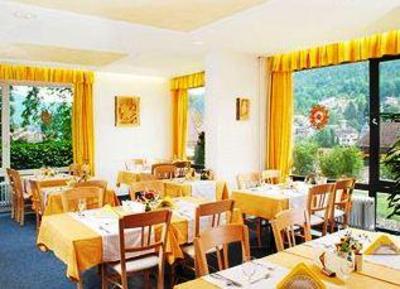 фото отеля Bergfrieden Hotel Bad Wildbad