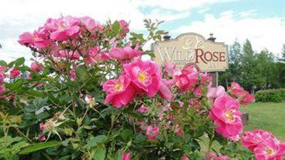 фото отеля Auberge Wild Rose Inn