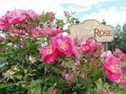 фото отеля Auberge Wild Rose Inn