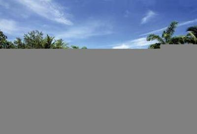 фото отеля Shangri-La's Rasa Ria Resort