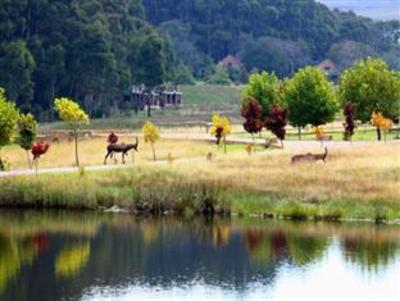 фото отеля Dunkeld Country Estate