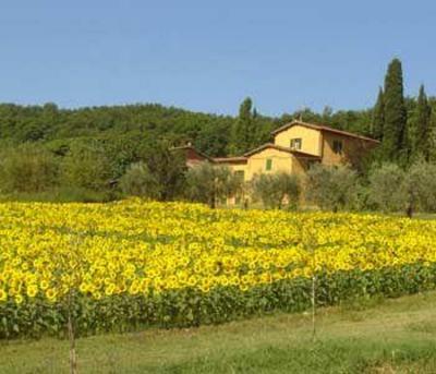 фото отеля Il Trebbiolo Relais