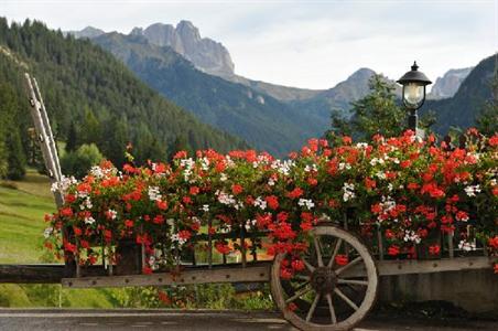 фото отеля Hotel Touring Pozza di Fassa