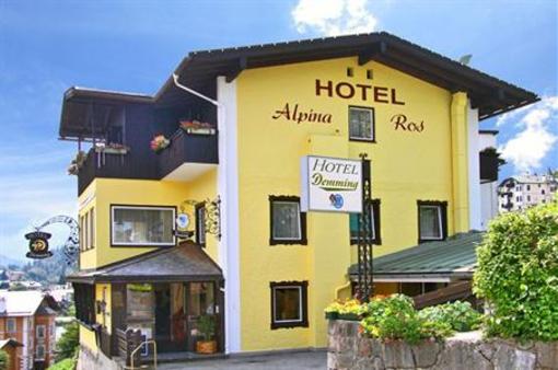 фото отеля Hotel AlpinaRos Demming