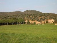 Azienda Agricola La Valentina Nuova