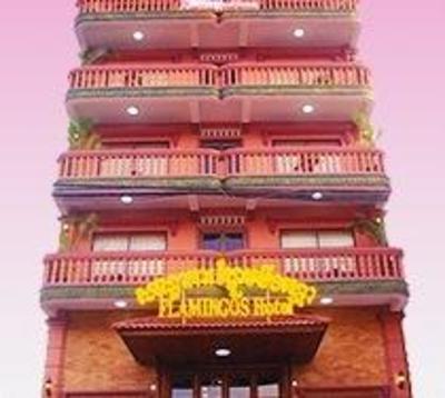 фото отеля Flamingos Hotel