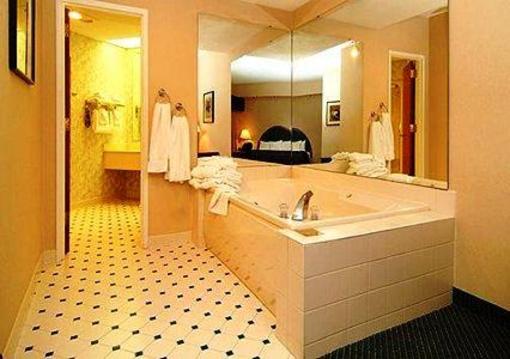 фото отеля Comfort Suites at Living History Farms