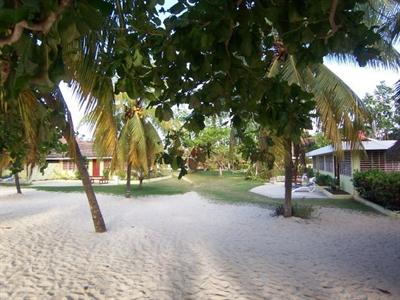 фото отеля The Yellow Bird Resort Negril