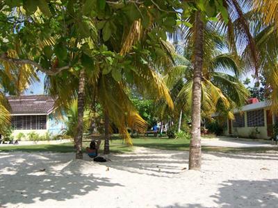 фото отеля The Yellow Bird Resort Negril