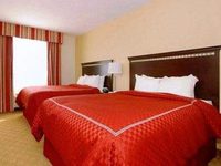 Comfort Suites near Raymond James Stadium