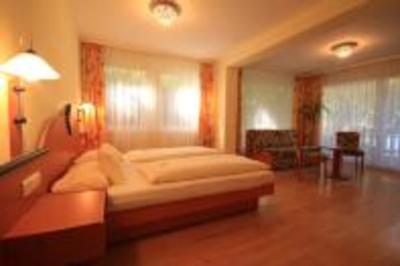 фото отеля Hotel Dammenmuhle Lahr