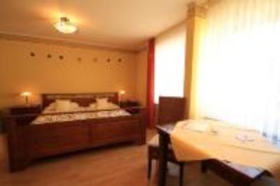 фото отеля Hotel Dammenmuhle Lahr