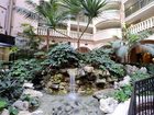 фото отеля Embassy Suites Hotel Jacksonville - Baymeadows