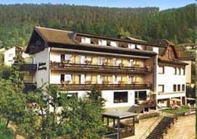 фото отеля Nichtraucher Hotel Sonnenbring Bad Wildbad