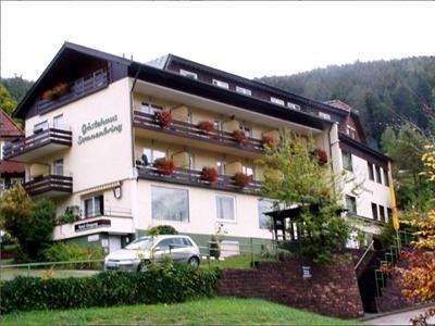 фото отеля Nichtraucher Hotel Sonnenbring Bad Wildbad