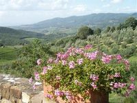 Villa Sangiovese