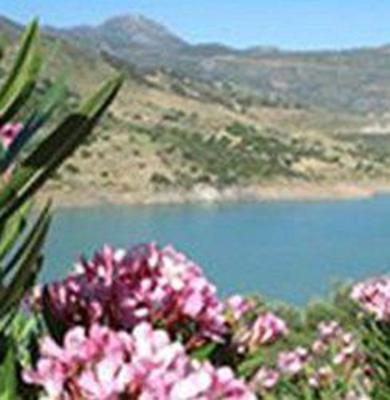 фото отеля El Gastor Village Lodgings B&B