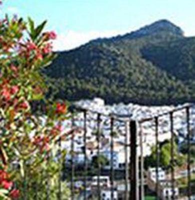 фото отеля El Gastor Village Lodgings B&B