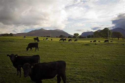 фото отеля Dunloe View Hostel