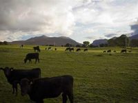 Dunloe View Hostel