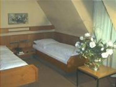фото отеля Hotel Wilder Mann Rückersdorf