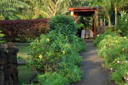 фото отеля Cabanas Vai Moana