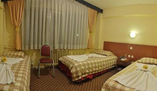 фото отеля Gold 2 Thermal Hotel Bursa