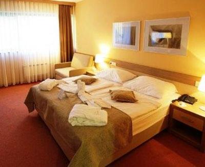 фото отеля Hotel Breza Podcetrtek