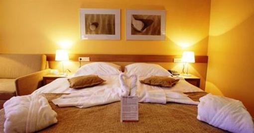 фото отеля Hotel Breza Podcetrtek