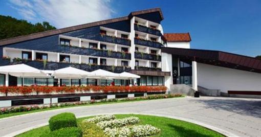 фото отеля Hotel Breza Podcetrtek