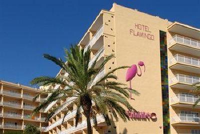 фото отеля Hotel Flamingo Lloret de Mar