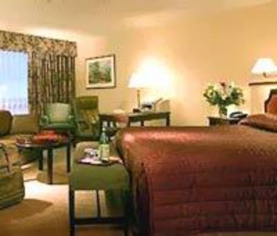 фото отеля York the Hotel