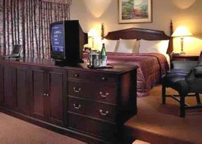 фото отеля York the Hotel