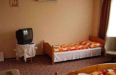фото отеля Hotel Tara Nyiregyhaza