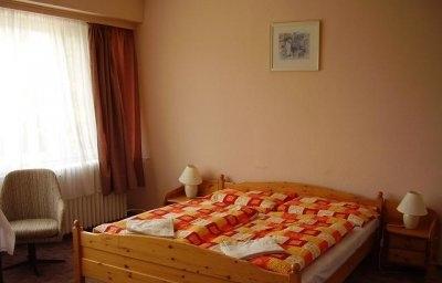 фото отеля Hotel Tara Nyiregyhaza