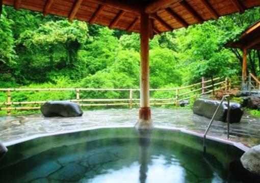 фото отеля Tateshina Grand Hotel Takinoyu
