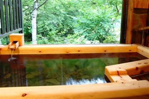 фото отеля Tateshina Grand Hotel Takinoyu