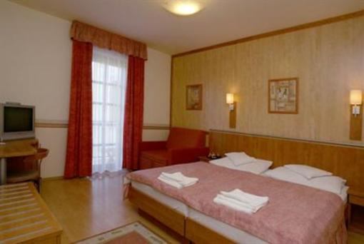 фото отеля Hotel Villa Volgy Wellness & Konferencia