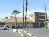 Palm Tree Inn