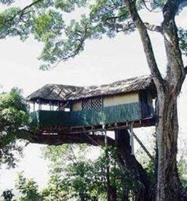 фото отеля Munnar Inn
