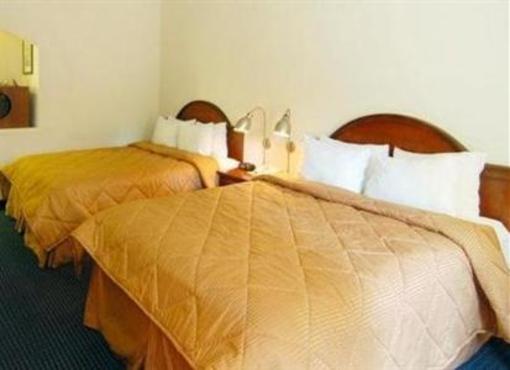 фото отеля Nuevo Inn & Suites